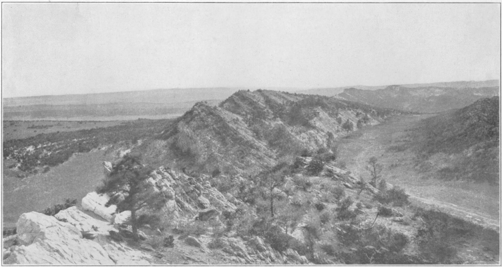 Gallup